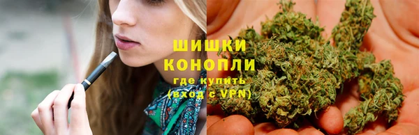 прущие крисы Богданович