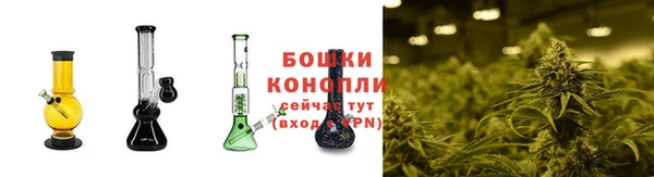СК Богородицк