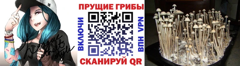 Псилоцибиновые грибы мухоморы  Купить закладки  Усть-Илимск 